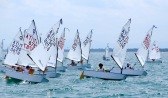 Trofeo Optimist Kinder Joy of Moving a Cervia, una splendida ultima giornata